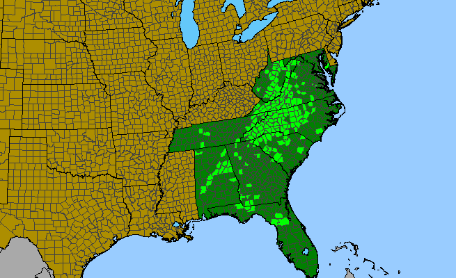 The range of Zizia trifoliata